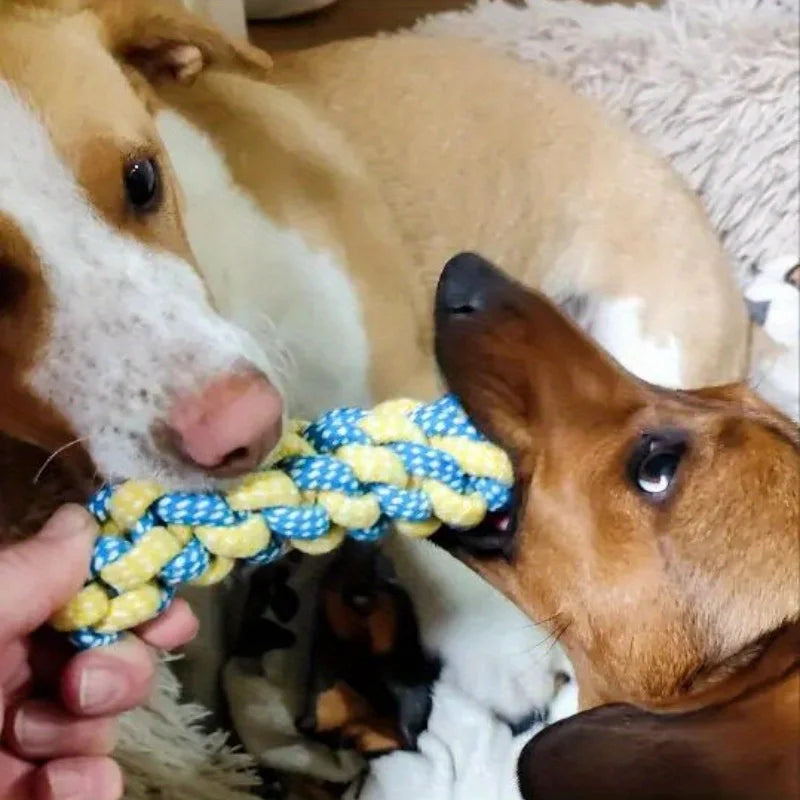 7-teiliges Kauspielzeug für Hundeseile, interaktives Knotenspielzeug, langlebiges Trainingsset, zahnende Welpen und aggressive Kauer, Spielen im Innen- und Außenbereich