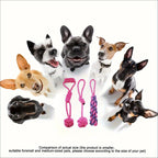 4/5-teiliges lila Kaarseil-Spielzeugset für Hunde – geflochtene Knoten für kleine bis mittelgroße Hunde, langlebiges Schlepper- und Spielspielzeug zum Zahnen von Welpen