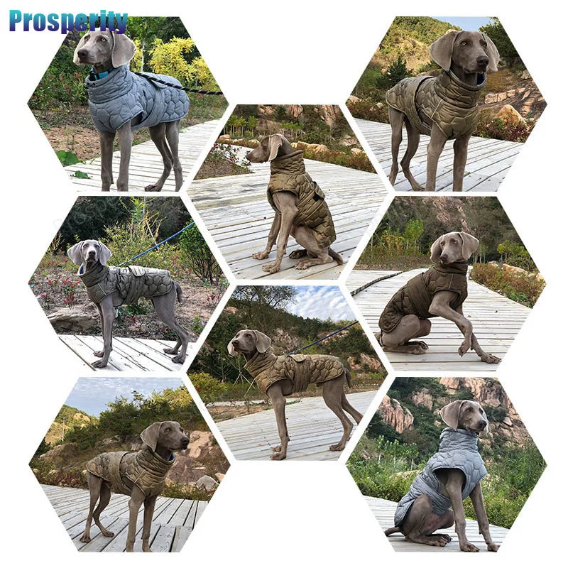 Warme Rollkragen-Hundekleidung, Winter, dick, reflektierend, Schneeanzug, Mantel, Haustierjacke für große Rassen, Whippet, Windhund, Parka-Kleidung