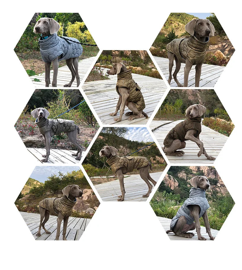 Warme Rollkragen-Hundekleidung, Winter, dick, reflektierend, Schneeanzug, Mantel, Haustierjacke für große Rassen, Whippet, Windhund, Parka-Kleidung