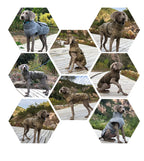 Warme Rollkragen-Hundekleidung, Winter, dick, reflektierend, Schneeanzug, Mantel, Haustierjacke für große Rassen, Whippet, Windhund, Parka-Kleidung