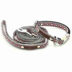 Posh Pup Style Dog Collar Set Finnigans Play Pen